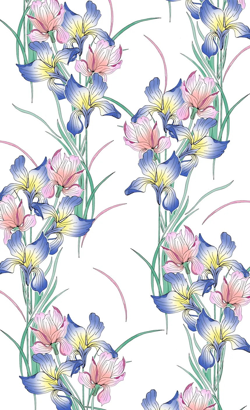 Blue and Pink Irises