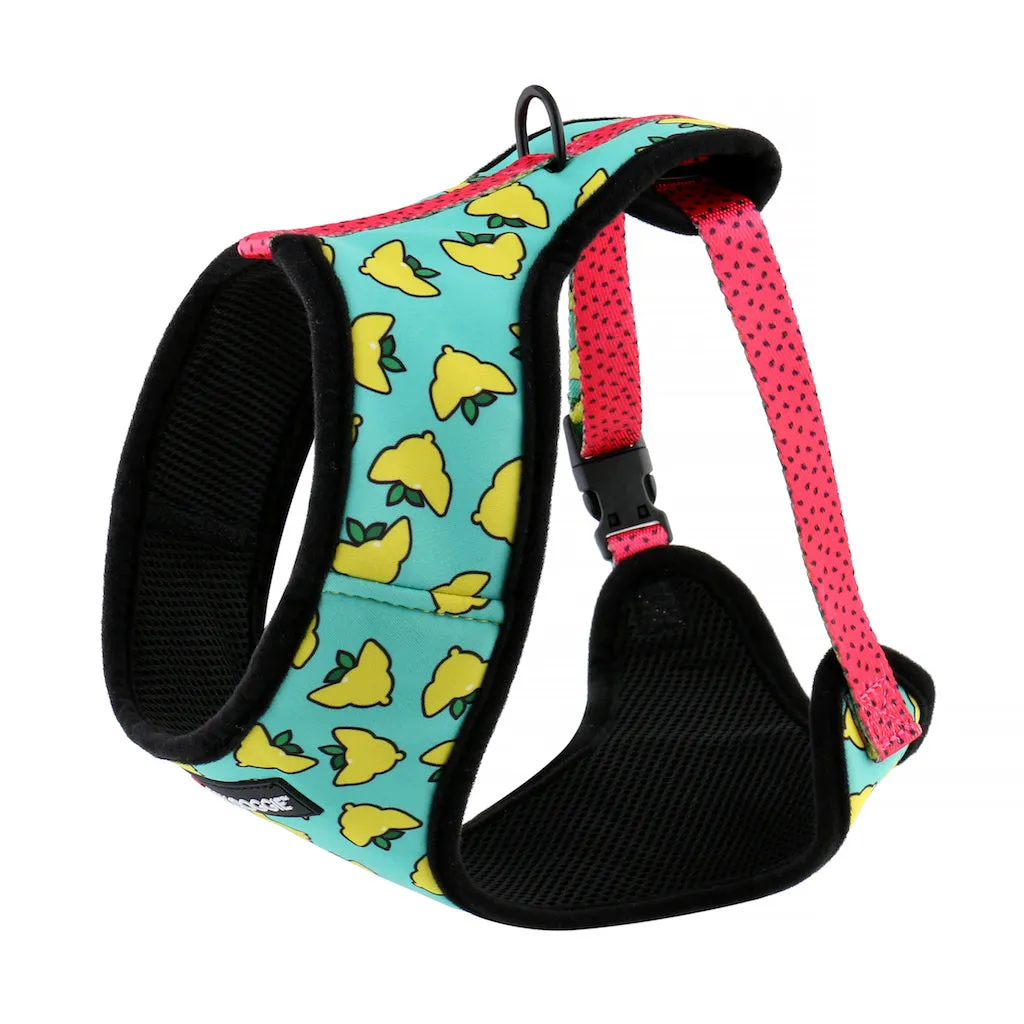 Sour Pawtches Pet Harness