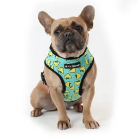 Sour Pawtches Pet Harness