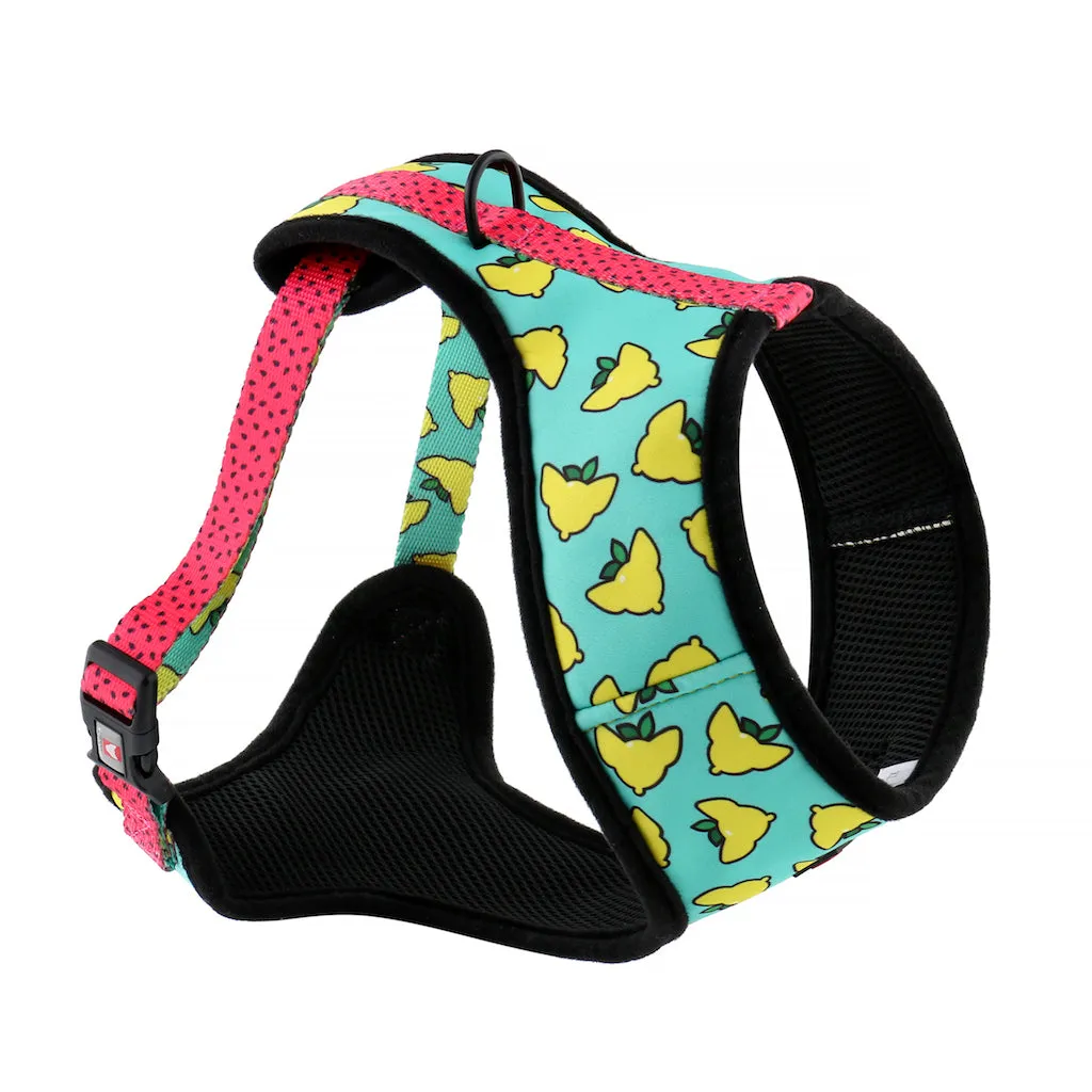 Sour Pawtches Pet Harness